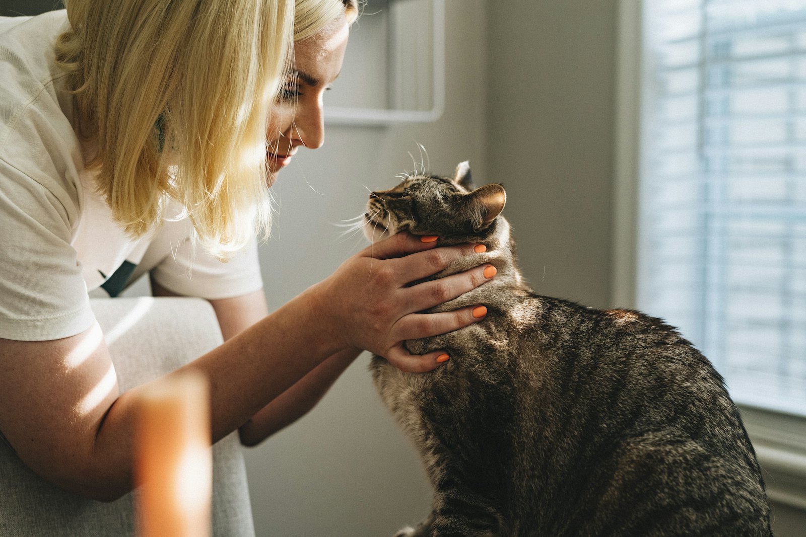 Veterinary